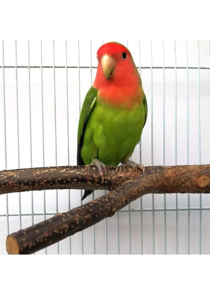 مجموعة من 4 قطع من 4 قطع من الخشب الطبيعي للطيور والببغاء، ألعاب شوكة، قفص طائر الحيوانات الأليفة خشبية معلقة، لعبة أرجوحة أرجوحة أرجوحة للببغاوات الصغيرة، بودجيس، كوكاتيل، كونوريس، الببغاء، العصافير - Image 3