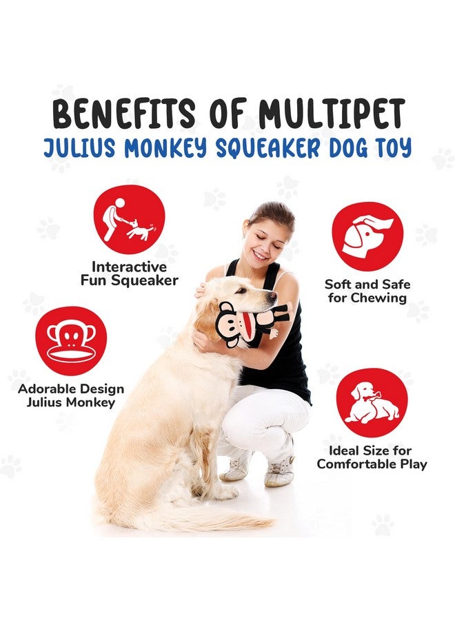 Multipet Paul Frank Julius Monkey Dog Toy - Multicolor, 6 - Image 4