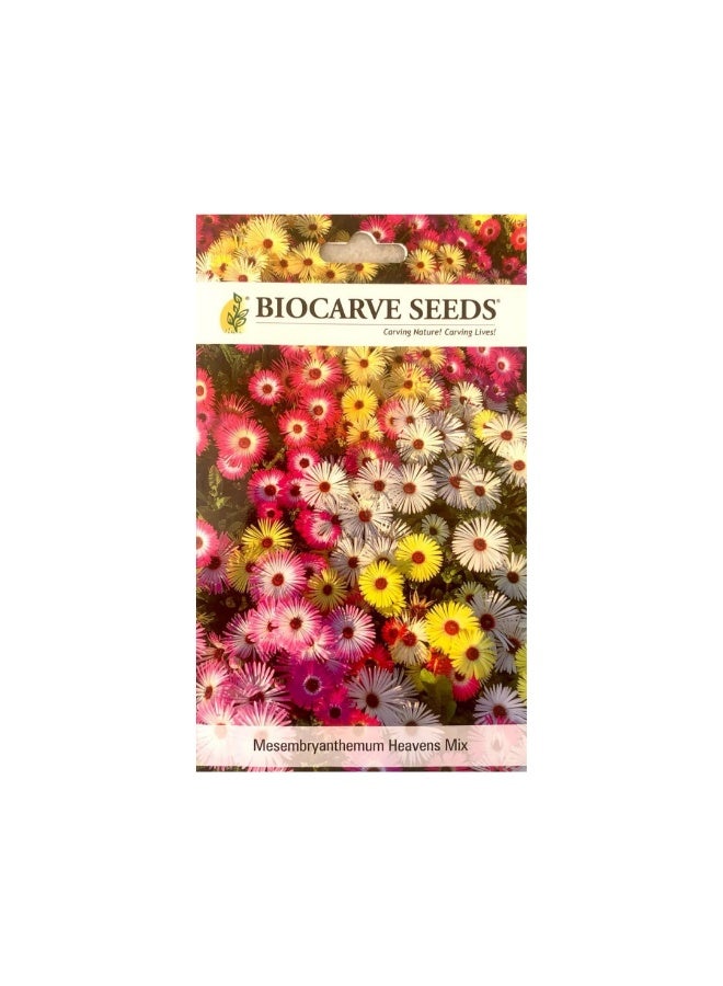 BIOCARVE SEEDS Miscellaneous Seeds