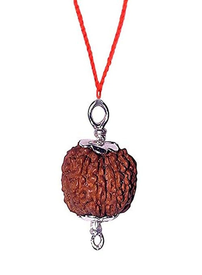 Certified Gems 13 Mukhi | 13 Face Natural Lab Certified Nepal Rudraksha with Silver Pendent | 22mm-25mm - Image 1