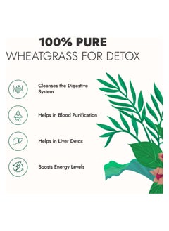 Kapiva Wheat Grass Juice 1Ltr  - Image 3