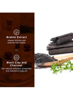 Ustraa Ustraa Charcoal & Clay Hair Shampoo, 250ml  - Image 2