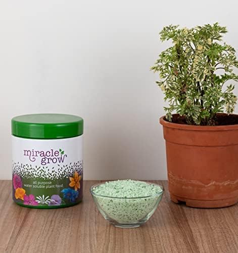 DIVINE TREE Miracle Grow All Purpose Water Soluble Organic Plant Food, Perfect for Lush Green Leaves and Beneficial Removing The Yellowness of The Leaves (150gm) - Image 2