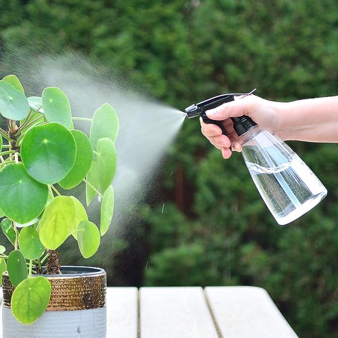 DIVINE TREE Miracle Grow All Purpose Water Soluble Organic Plant Food, Perfect for Lush Green Leaves and Beneficial Removing The Yellowness of The Leaves (150gm) - Image 5
