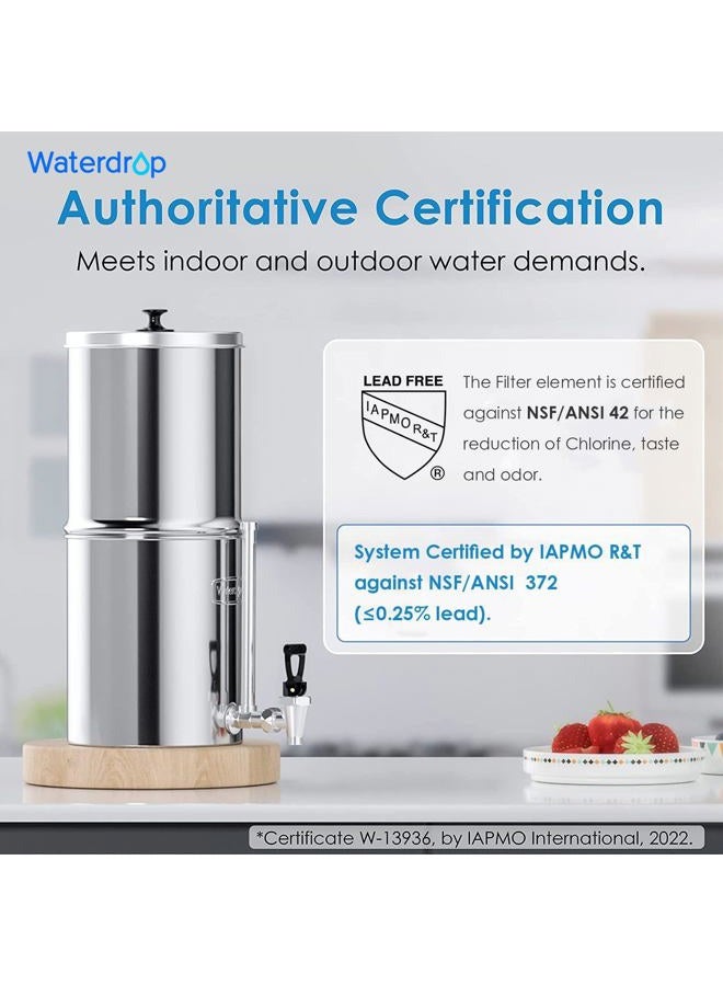 Waterdrop Filter Replacement for BB9-2 Black Purification Elements, Doulton Super Sterasyl and Traveler, Nomad, King, Big Series, (Pack of 2) - Image 2