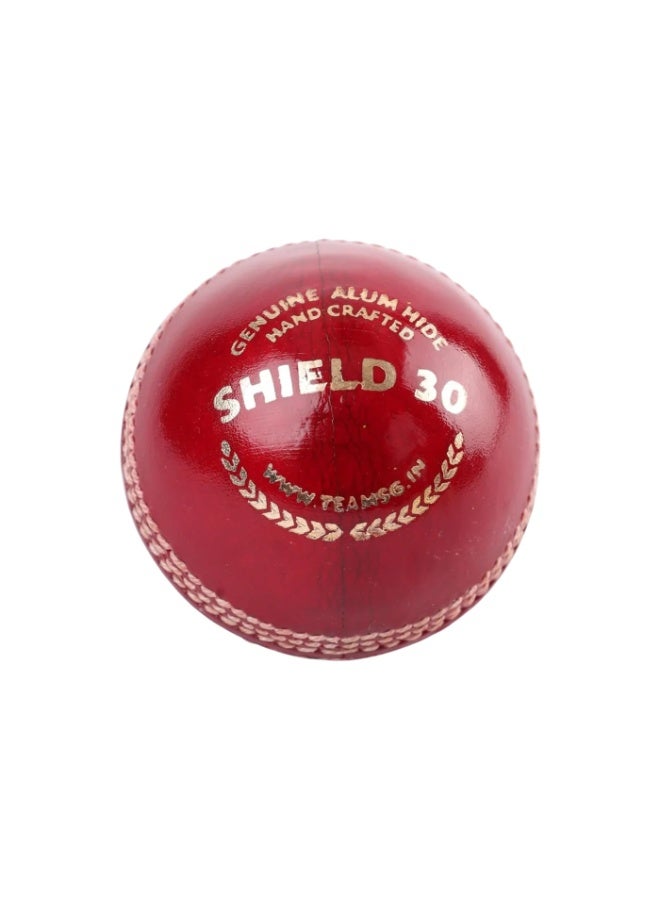 SG Shield 30 Red Genuine Alum Hide Hand Crafted Cricket Leather Ball (Believe.Become) - Image 2