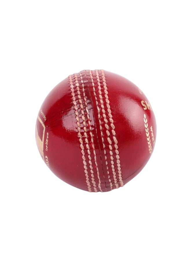 SG Shield 30 Red Genuine Alum Hide Hand Crafted Cricket Leather Ball (Believe.Become) - Image 3
