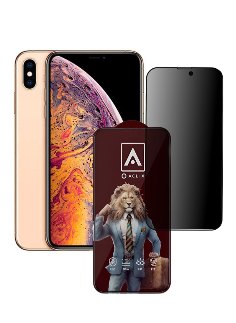 ACLIX Antistatic ESD Dustproof Premium Quality High Definition Anti-Spy Privacy Tempered Glass Screen Protector Designed For  iPhone XS Max - Image 1