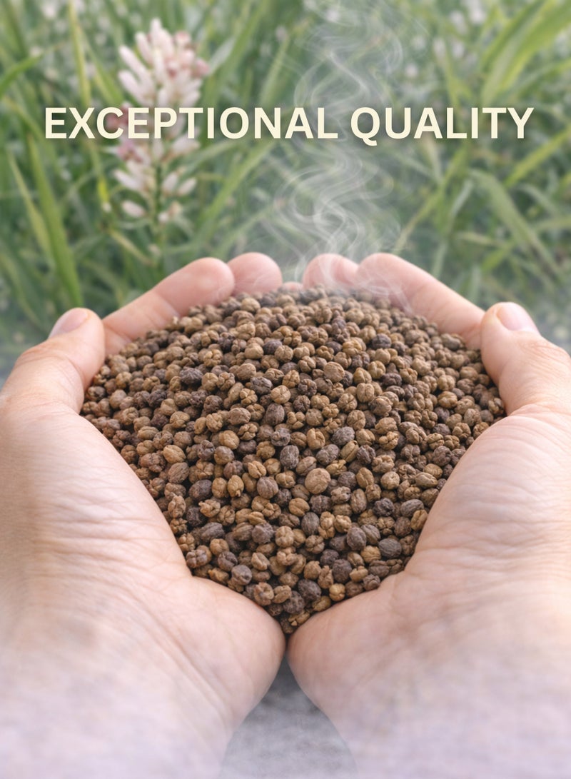 زهر بذور الهيل (حب الهيل) - Elettaria Cardamomum | بذور طبيعية كاملة عالية الجودة | نقية 100% للاستخدام في البستنة والزراعة وعلم النبات والأعشاب. - Image 3