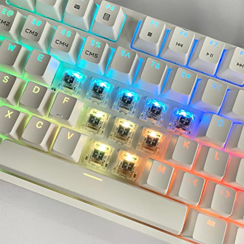 kutethy Gateron G Silver Pro Switches pre-lubed 3pin RGB SMD Linear Dust-Proof Single Spring Switch for Gaming Mechanical Keyboard (72 Pcs, Silver) - Image 4