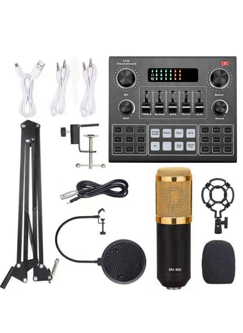 ELTRAZONE Elite V9 Sound Card & BM800 Pro Microphone Bundle for Advanced Broadcasting  - Image 1