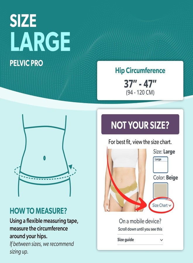 BraceAbility Pelvic Pro Support Belt - Patented, Original Prolapsed Uterus Brace for Women Treating Dropped Bladder, Uterine Prolapse, Vulvar Varicosities, Postpartum, Symphysis Pubis Dysfunction (L) - Image 2