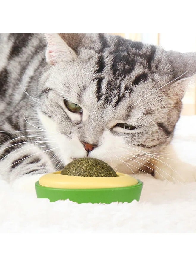 4 PCS Wall Ball Toys for Cat, Natural Edible Licking Ball Catnip Wall Roller, Healthy Kitty Teeth Cleaning Dental Chew Toys, Pet Interactive Toys for Teeth Cleaning Deworming, Includes 2 Catnip Ball - Image 5