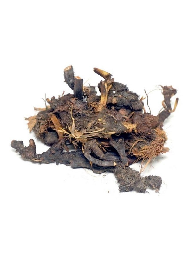 DR ARYA Nagarmotha Root 100gm (Raw) | Nagarmotha | Cyperus Rotundus Rhizome | Cyperus Rotundus Rhizome - Nut Sedge Root - Pure & Natural (100 Grams) - Image 2