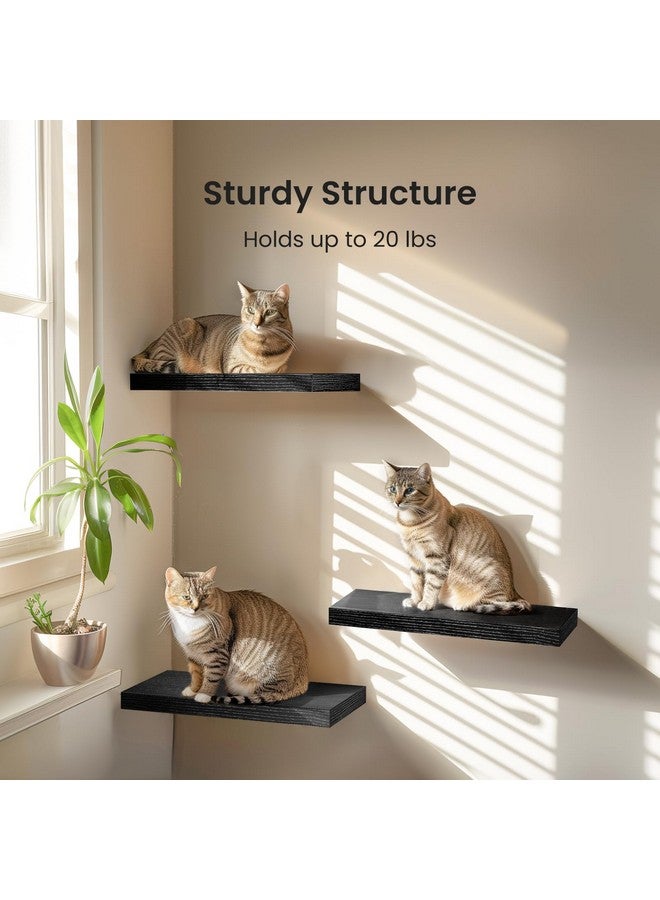 AMADA HOMEFURNISHING AMADA HOMEFURNISHING Floating Shelves Black, Wall Shelves with Invisible Brackets for Bedroom, Bathroom, Living Room, Kitchen, Set of 3 - AMFS07 - Image 2