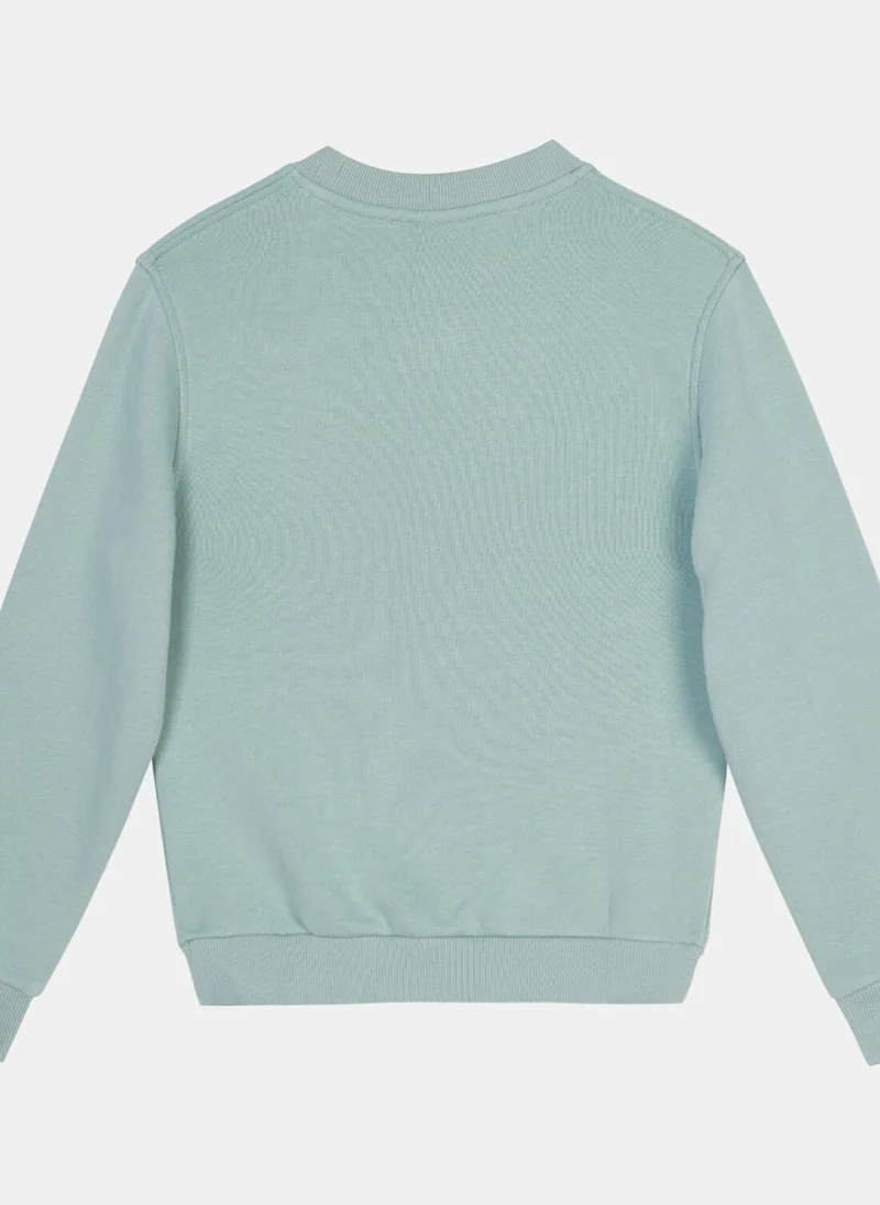 Nike Kids' Sportswear Club+ Crewneck Create Sweatshirt