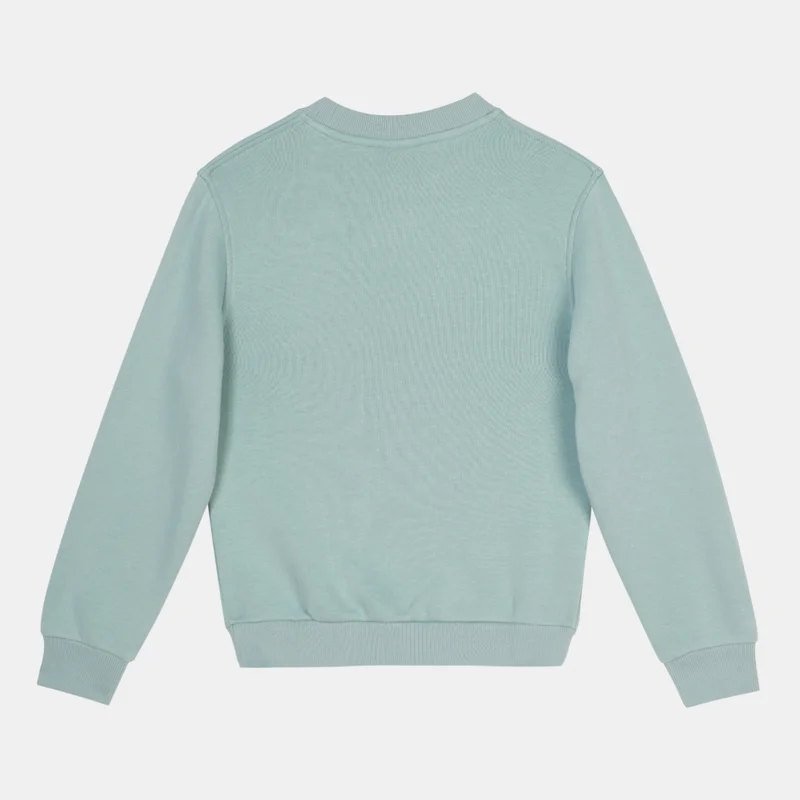 Nike Kids' Sportswear Club+ Crewneck Create Sweatshirt