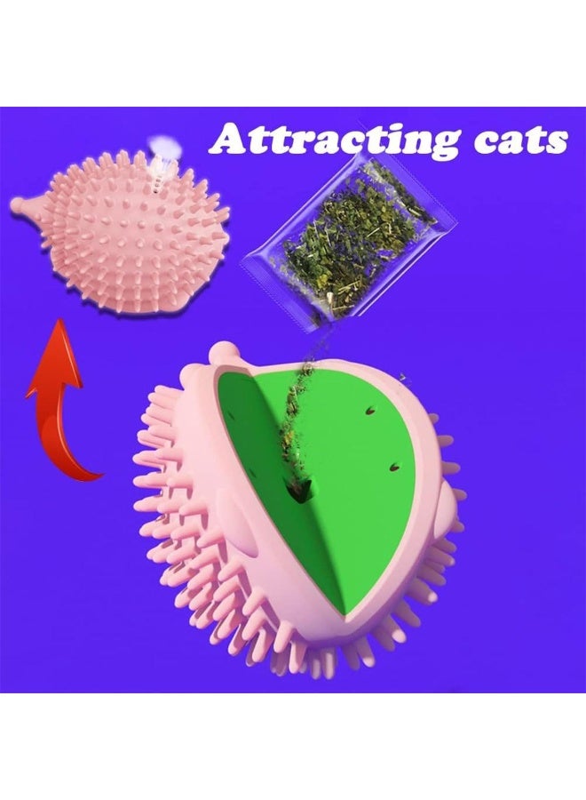 NeoStyle Cat Feather Toys, Cat Wand Toy with Powerful Suction Cup, Interactive Cat Toy Detachable Feather Replacements with Bell for Indoor Cats - Image 4