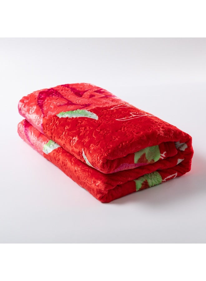 ستارجولد بطانية كلاودي أحادية الطبقة، مقاس 220×240 سم - بطانية قطيفة فائقة النعومة والدفء وخفيفة الوزن لجميع المواسم، مريحة للغاية وقماش متين - Image 2