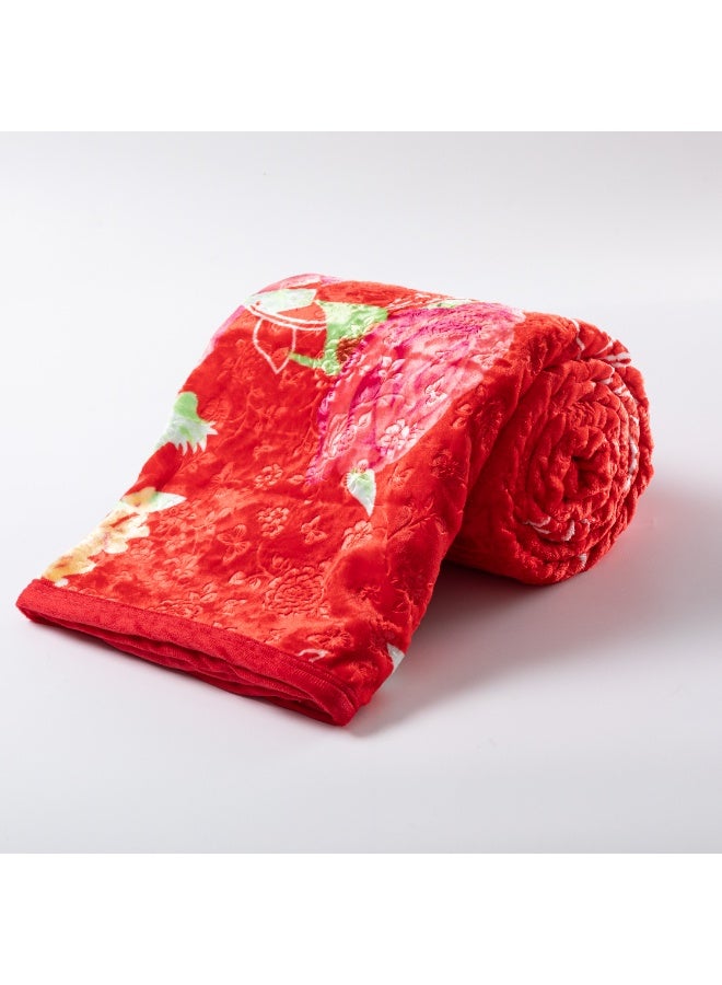 ستارجولد بطانية كلاودي أحادية الطبقة، مقاس 220×240 سم - بطانية قطيفة فائقة النعومة والدفء وخفيفة الوزن لجميع المواسم، مريحة للغاية وقماش متين - Image 3