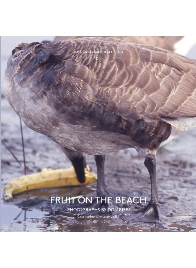 Jamaica Bay Pamphlet Library 05: Fruit on the Beach  - Image 1