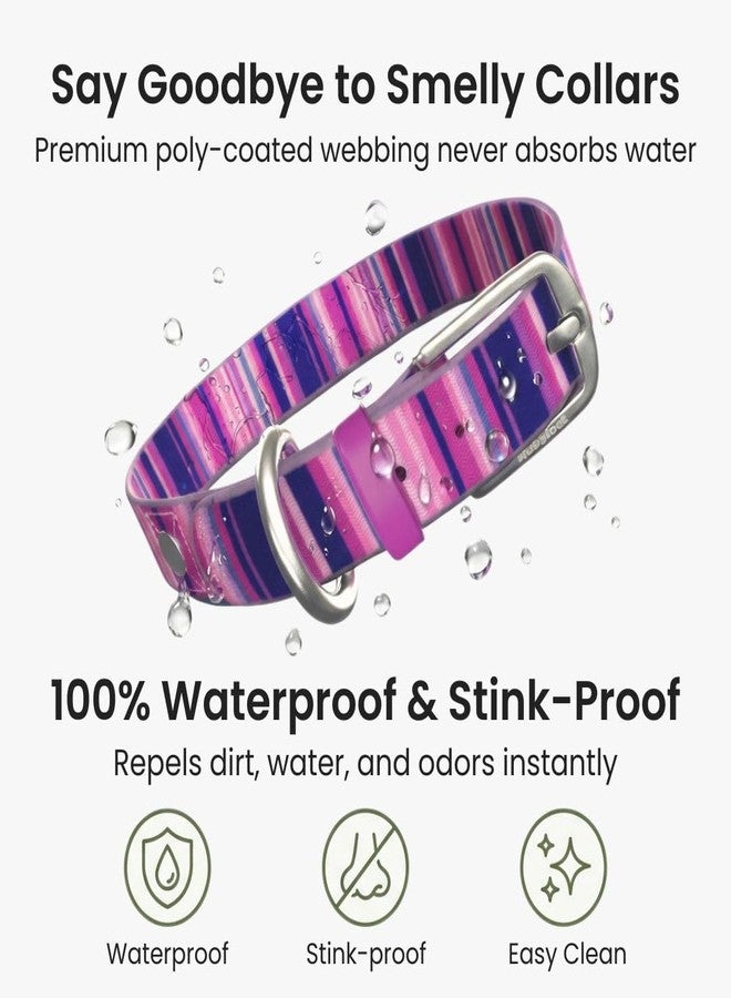 rubyloo Waterproof Dog Collar – Washable, Stink-Proof & Dirt-Proof – Soft, Odorless, Easy to Clean – Fade-Resistant, Durable for Medium & Large Dogs – Rust-Proof Metal Buckle (Pink-M 1") - Image 2