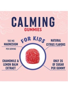 Kids Magnesium Citrate Gummy,With Magnesium, Chamomile & Lemon Balm,Yummy Strawberry Flavor,Dietary Supplement 60 Gummies - pzsku/Z242DCD9678F2E37D2352Z/45/_/1739351454/c6b5d51c-c2b9-46de-82e8-f72ff1696247