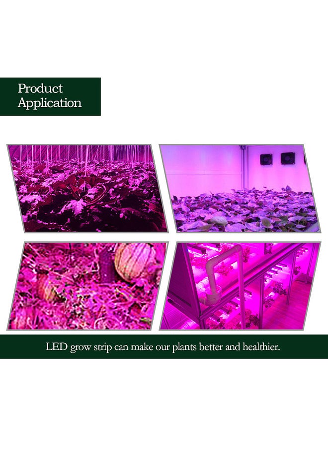 Generic - 5 M LED Phyto Lamps Full Spectrum LED Strip Light 300 LEDs 5050 Chip LED Grow Lights For Greenhouse Hydroponic Plant 5:1 IP65 Waterproof - Image 1