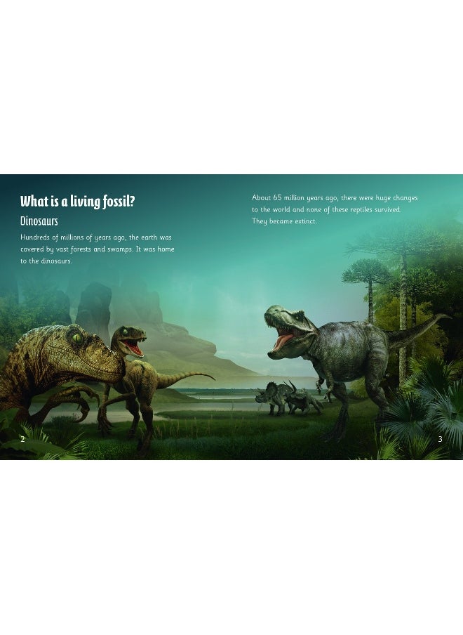 Collins Living Fossils: Band 07/Turquoise  - Image 3