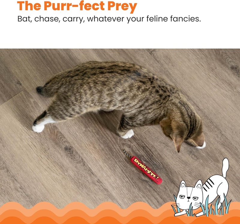 Catstages Green Magic Dynamite Stick Catnip Cat Toy - Image 4