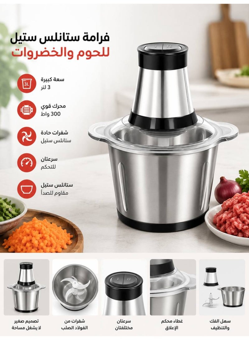 3L Stainless Steel Electric Food Chopper for Meat & Vegetables, 600W Powerful Motor, Dual Speed, Sharp Stainless Steel Blades, Multi-Purpose Kitchen Meat Grinder with Stainless Steel Bowl - Image 1