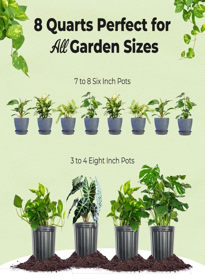 PERFECT PLANTS مزيج تربة عضوي لنباتات الأرويد من بيرفكت بلانتس | تربة زراعية خشنة لنباتات الزينة المنزلية الاستوائية | رقائق لحاء الصنوبر والفطريات الجذرية (8 كوارت) - Image 5