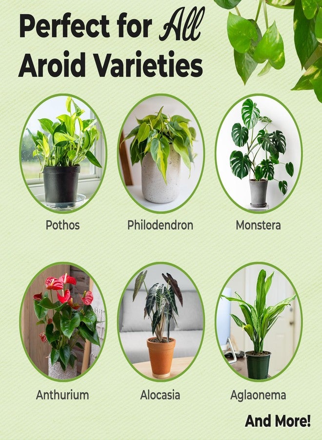 PERFECT PLANTS مزيج تربة عضوي لنباتات الأرويد من بيرفكت بلانتس | تربة زراعية خشنة لنباتات الزينة المنزلية الاستوائية | رقائق لحاء الصنوبر والفطريات الجذرية (8 كوارت) - Image 3