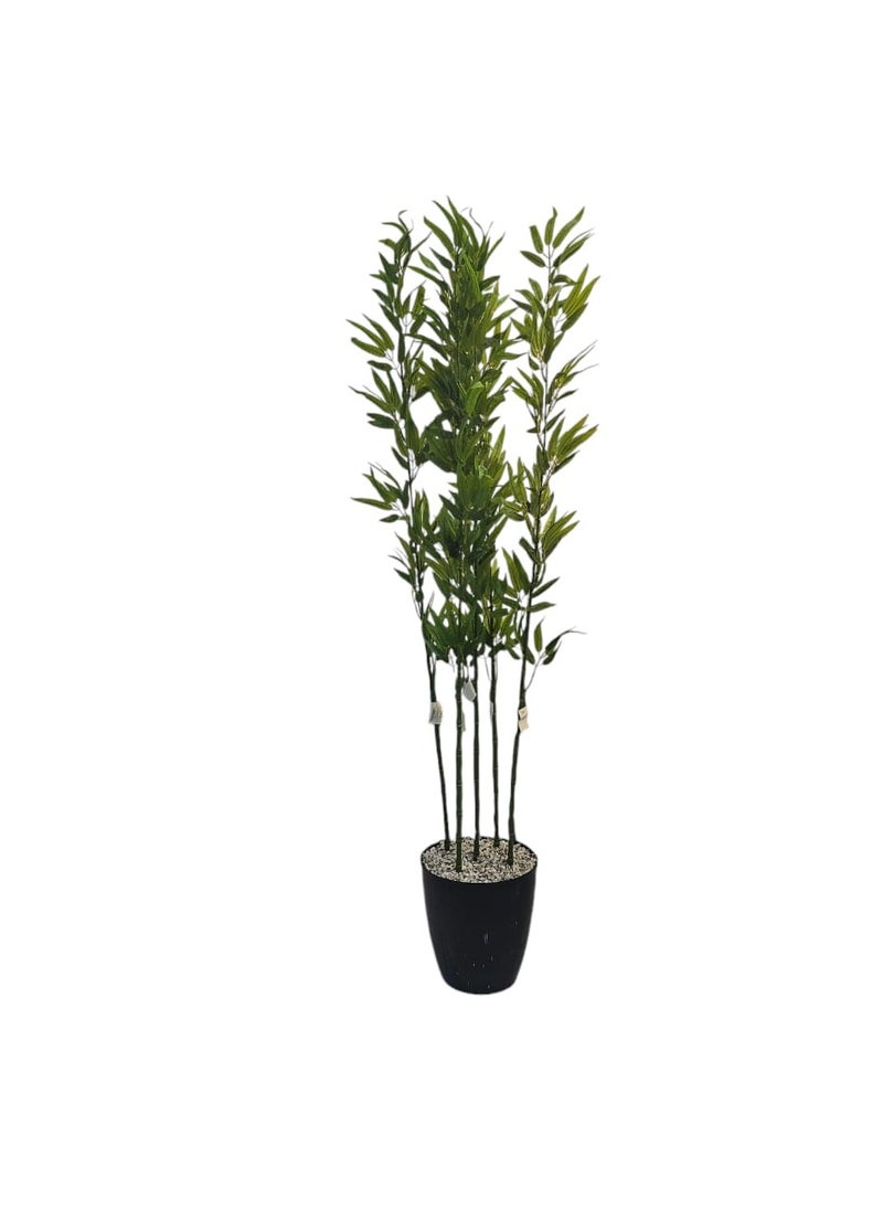 AL KHALDIYA Bamboo tree with black pot, 140 cm tall 