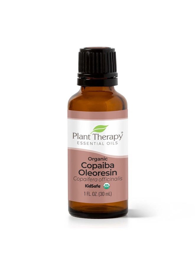Plant Therapy Copaiba Oleoresin Organic Essential Oil 100% Pure, Undiluted, Natural Aromatherapy, Therapeutic Grade 30 mL (1 oz)  - Image 1