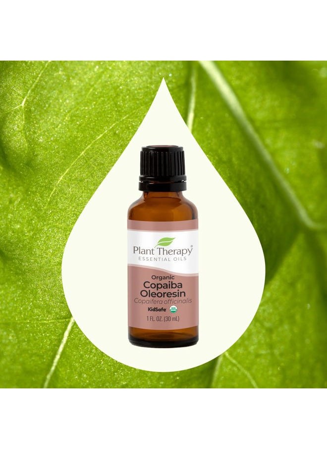 Plant Therapy Copaiba Oleoresin Organic Essential Oil 100% Pure, Undiluted, Natural Aromatherapy, Therapeutic Grade 30 mL (1 oz)  - Image 3