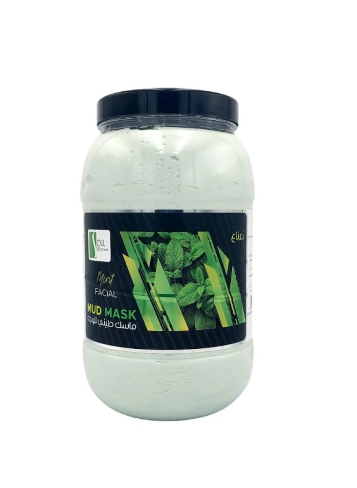 Spa System Mint Clay Face Mask - 4.5kg