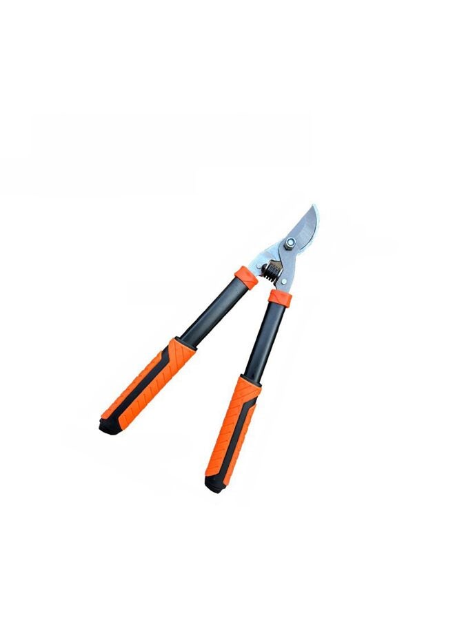 مقص تقليم الأشجار شديد التحمل ذو حركة مركبة، يقطع الأغصان السميكة بسهولة، مقص تقليم الحدائق - Image 1