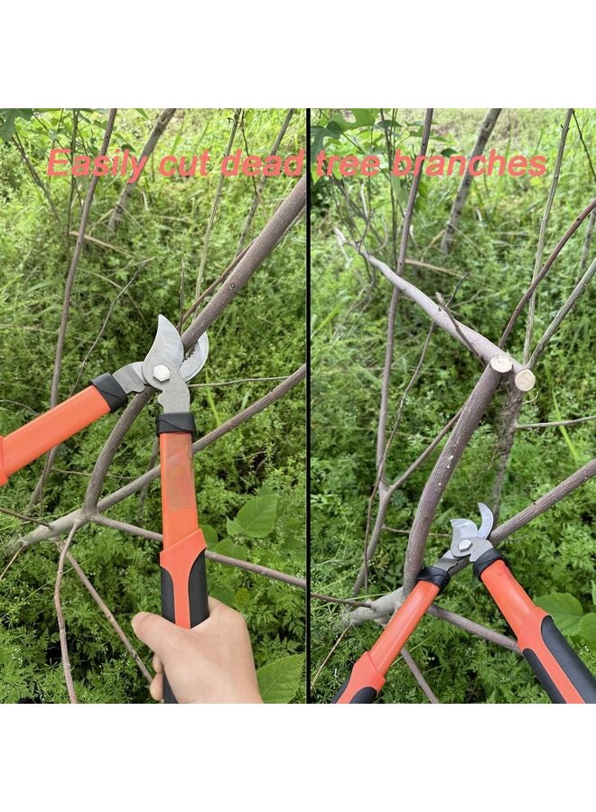 مقص تقليم الأشجار شديد التحمل ذو حركة مركبة، يقطع الأغصان السميكة بسهولة، مقص تقليم الحدائق - Image 3