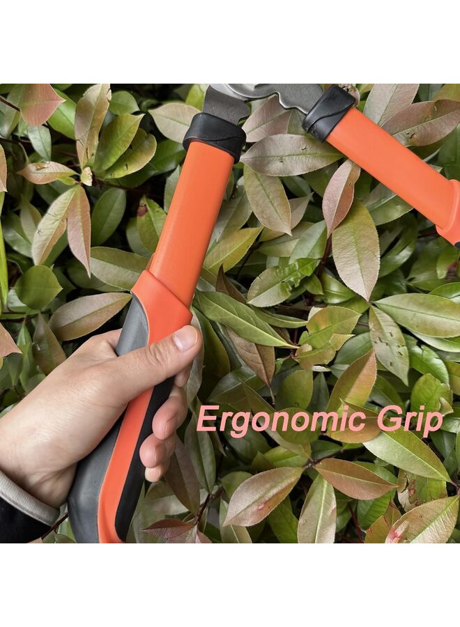 مقص تقليم الأشجار شديد التحمل ذو حركة مركبة، يقطع الأغصان السميكة بسهولة، مقص تقليم الحدائق - Image 5