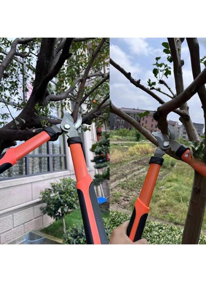 مقص تقليم الأشجار شديد التحمل ذو حركة مركبة، يقطع الأغصان السميكة بسهولة، مقص تقليم الحدائق - Image 4