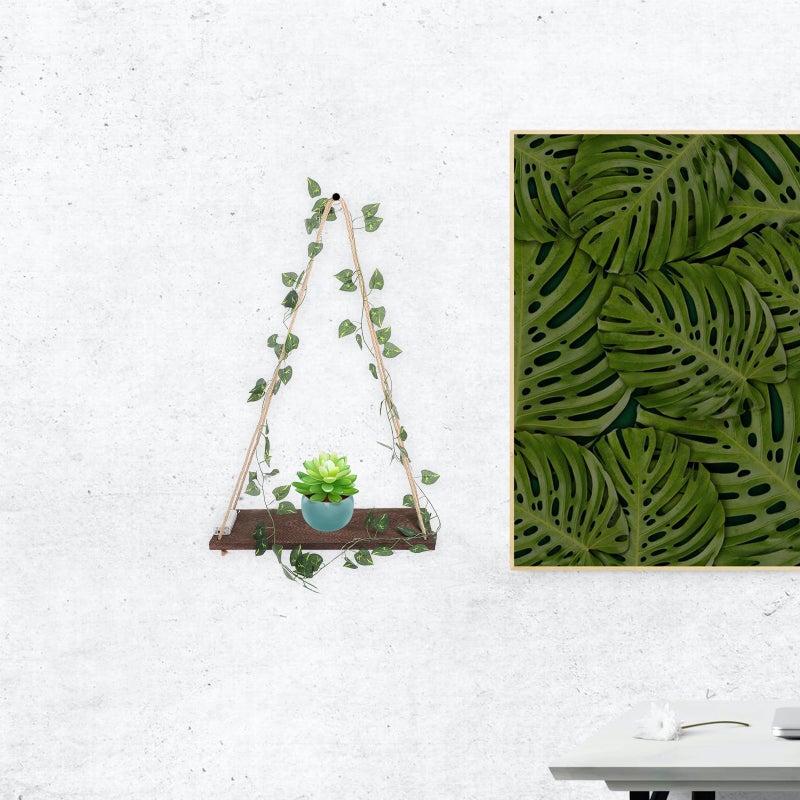 🏠 رف حائط بإضاءة وتصميم عائم للديكور وعرض النباتات - Image 5