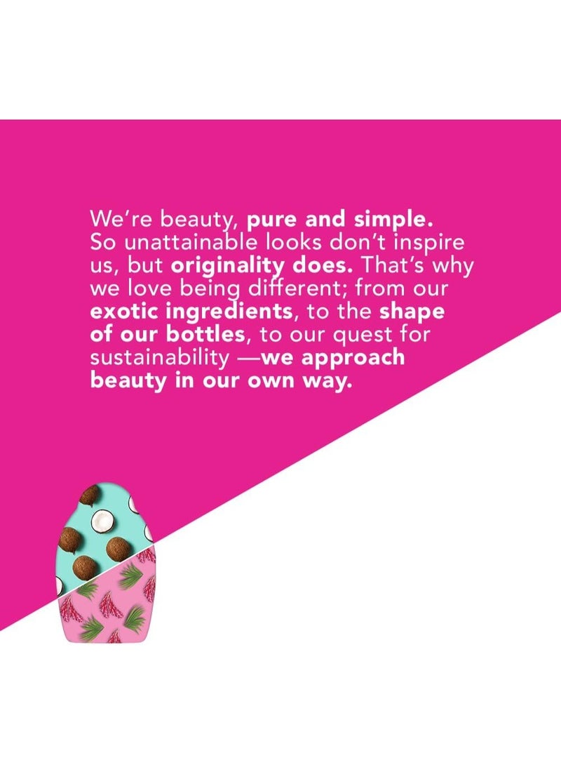 أو جي إكس شامبو تجديد + زيت الأرغان المغربي 385 مل - Image 5