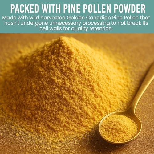 Holistic Bin Organic Pine Pollen Powder Pharmaceutical Grade, Wild Harvested, Golden Canadian Pine Pollen | Non GMO, No Additives | Pure Pollen Supplement Made from The Lodgepole Pine Tree, 20 g - Image 4
