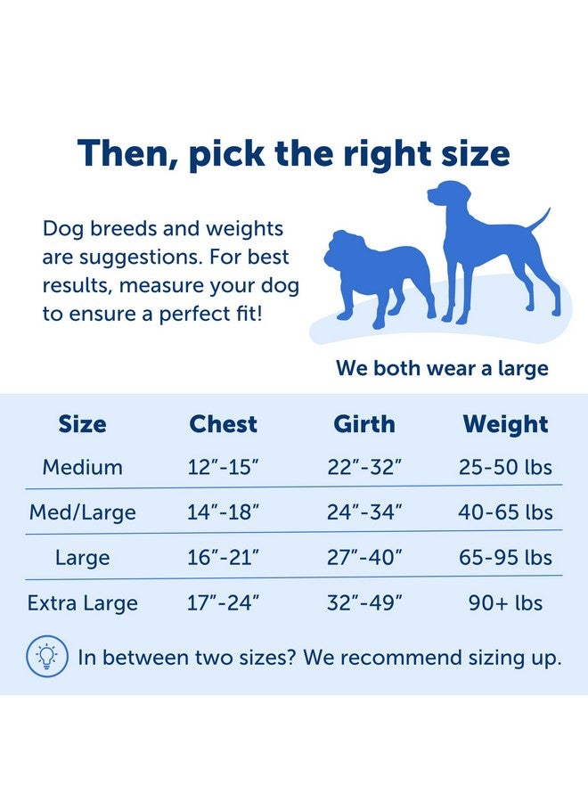 بيت سيف حزام PetSafe Easy Walk No-Pull Dog Harness - الحزام المثالي للمساعدة في التوقف عن السحب - سيطر على الموقف وعلّم سلوكيات أفضل في استخدام المقود - يساعد في منع الحيوانات الأليفة من السحب أثناء المشي، متوسط، أزرق ملكي/أزرق داكن - Image 5