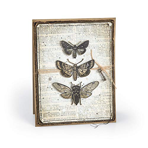 Tim Holtz Entomology - Stampers Anonymous Cling Stamps and Sizzix Framelits Die Set - Two Item Bundle - Image 4