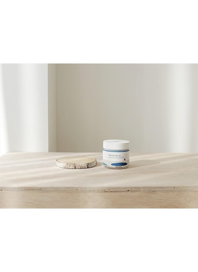 Round Lab - Birch Juice Moisturizing Cream 80ml / Vita Hyaluronic Acid, Moisture Filling, Hydrating Cream - Image 1