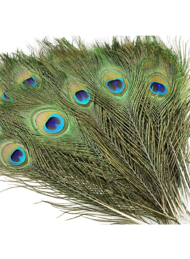 VRB DecTm Real Natural Peacock Peacock Feather Original Feathers 10-12 inch for DIY Craft Floral Arrangements,Wedding,Home and Party Decorations Feathers (Pack of 100 Pcs) - Image 1