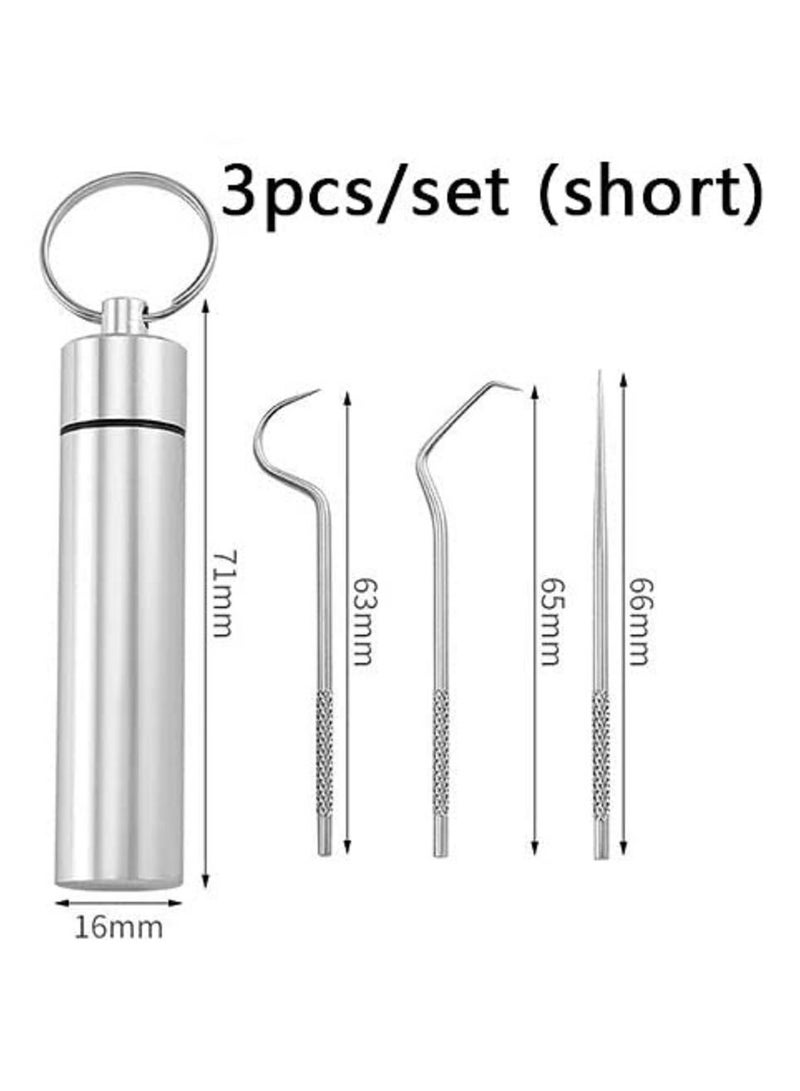 Stainless Steel Toothpick Set Tooth Flossing Reusable Toothpicks Portable Toothpick Floss Teeth Cleaner Oral Cleaning