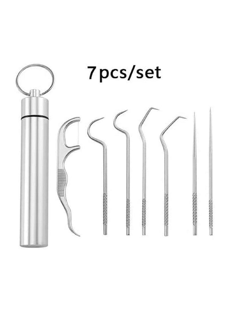 Stainless Steel Toothpick Set Tooth Flossing Reusable Toothpicks Portable Toothpick Floss Teeth Cleaner Oral Cleaning